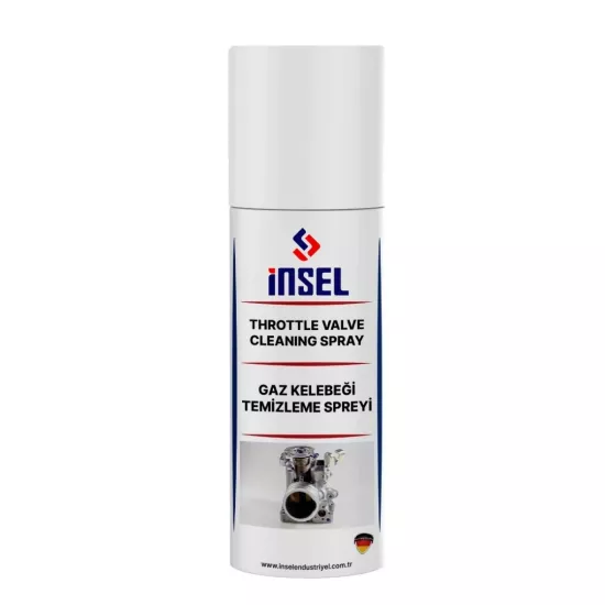 Gaz Boğaz Kelebeği Temizleme Spreyi 400 ML